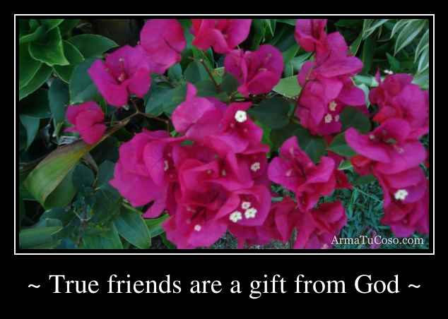 ~ True friends are a gift from God ~