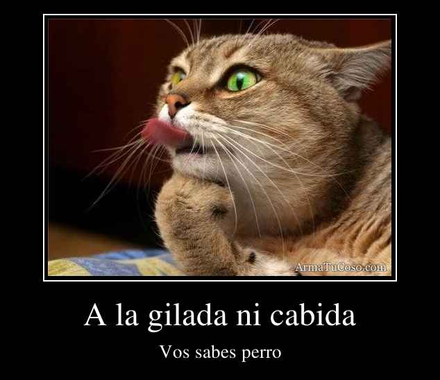 A la gilada ni cabida
