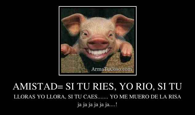 AMISTAD= SI TU RIES, YO RIO, SI TU