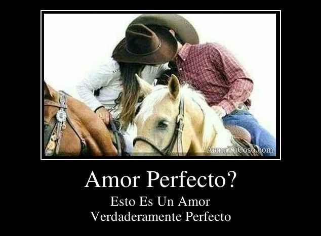 Amor Perfecto?