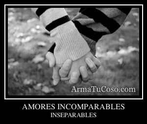 AMORES INCOMPARABLES