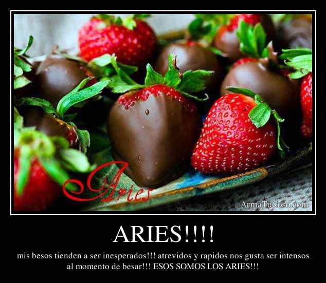 ARIES!!!!