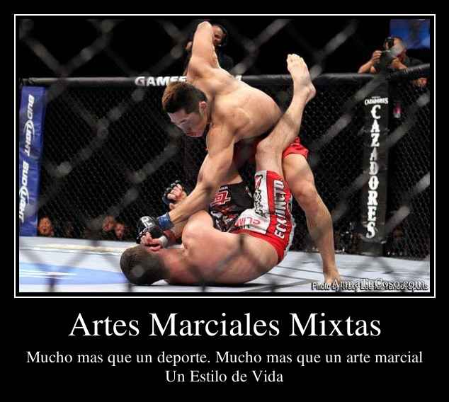 Artes Marciales Mixtas