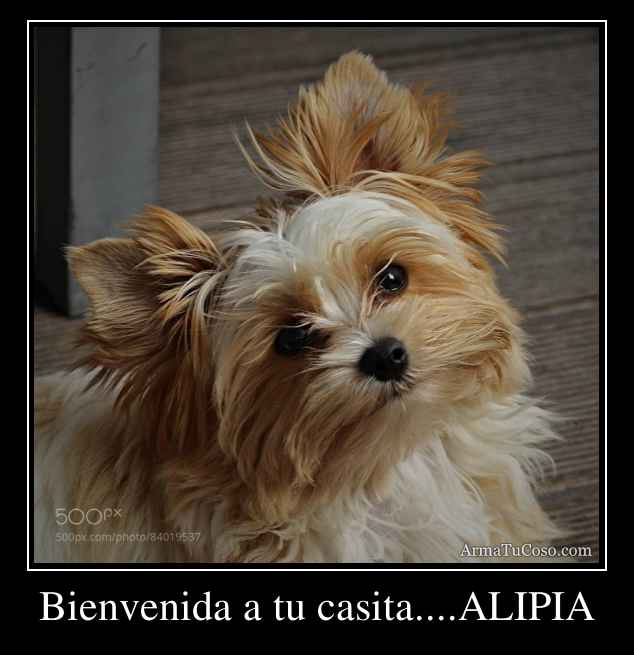 Bienvenida a tu casita....ALIPIA