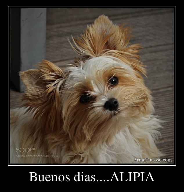 Buenos dias....ALIPIA