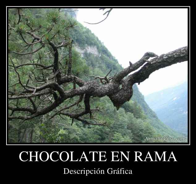 CHOCOLATE EN RAMA