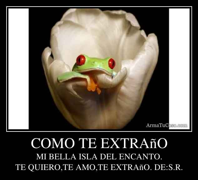 COMO TE EXTRAñO