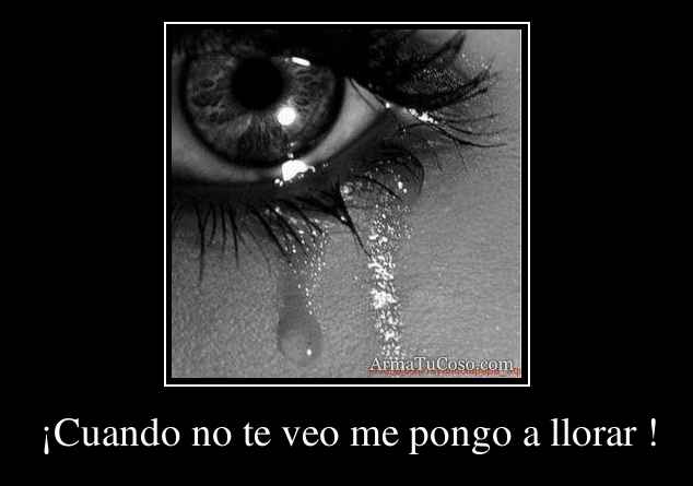 ¡Cuando no te veo me pongo a llorar !
