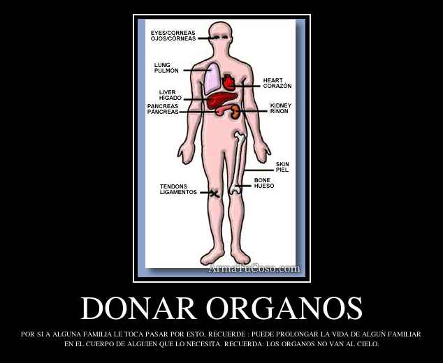 DONAR ORGANOS