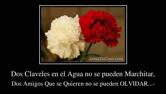 Dos Claveles en el Agua no se pueden Marchitar,