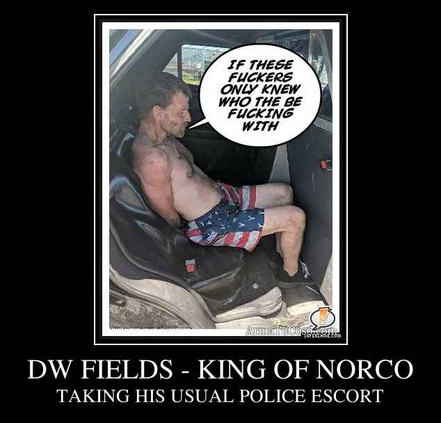 DW FIELDS - KING OF NORCO