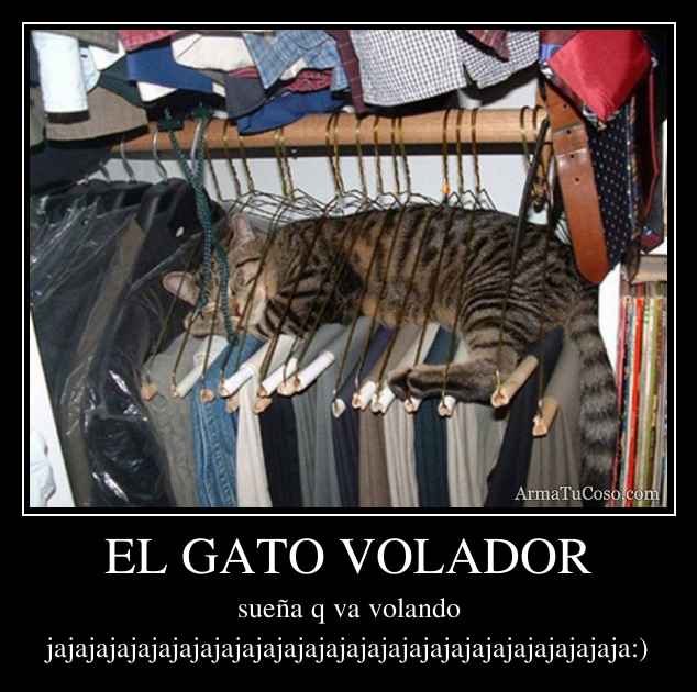 EL GATO VOLADOR