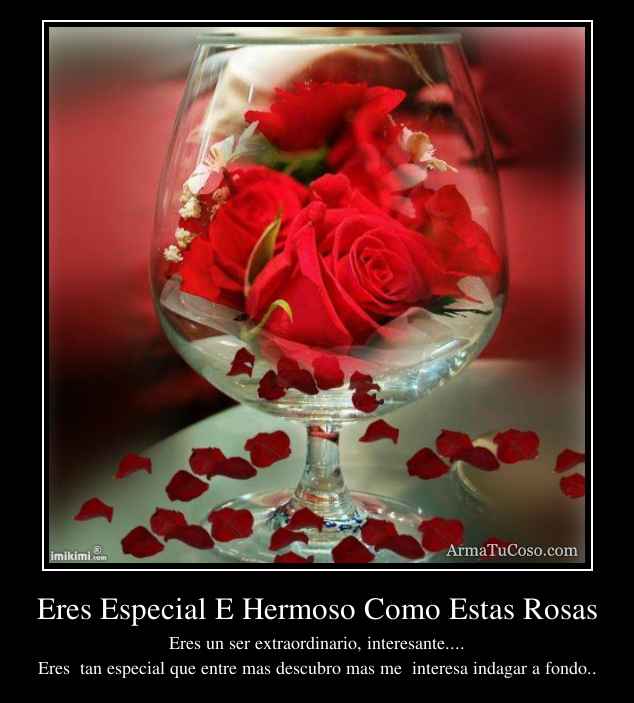 Eres Especial E Hermoso Como Estas Rosas