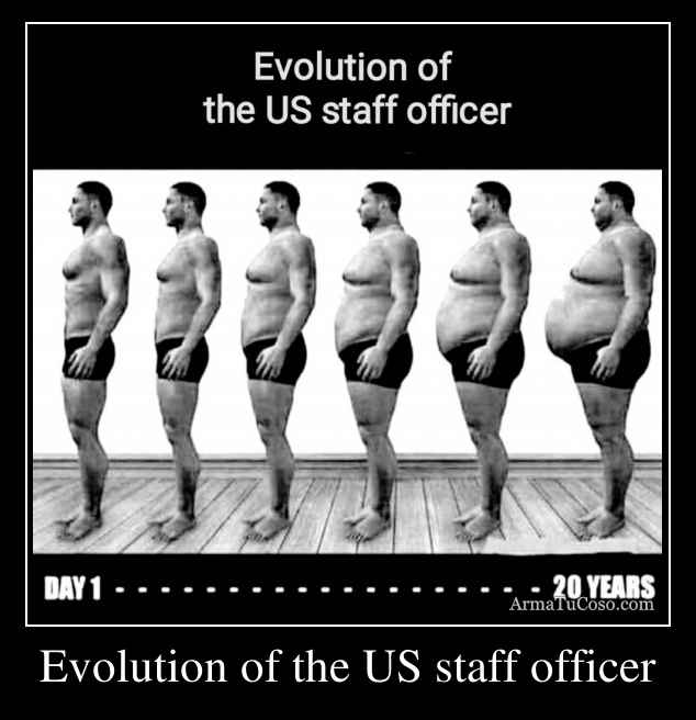 Evolution of the US staff officer