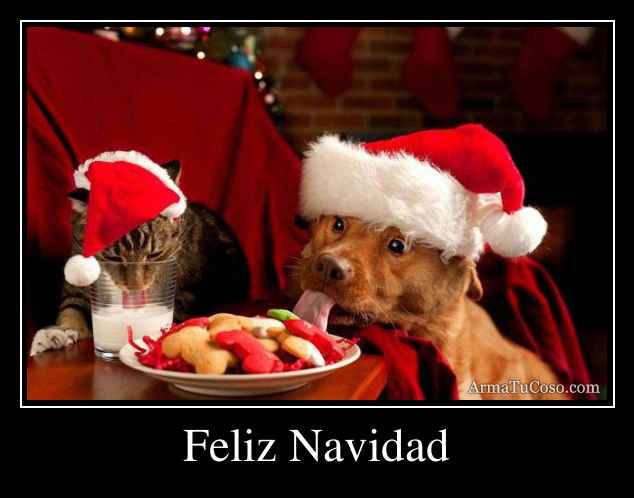 Feliz Navidad