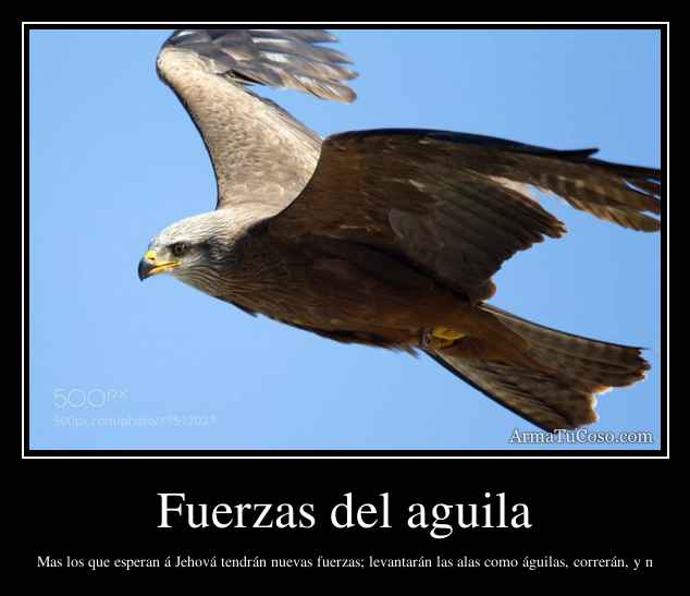 Fuerzas del aguila