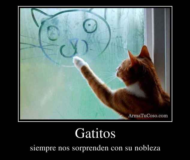 Gatitos