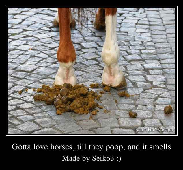 Gotta love horses, till they poop, and it smells