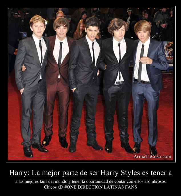 Harry: La mejor parte de ser Harry Styles es tener a