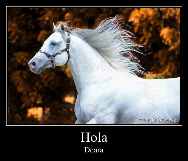 Hola