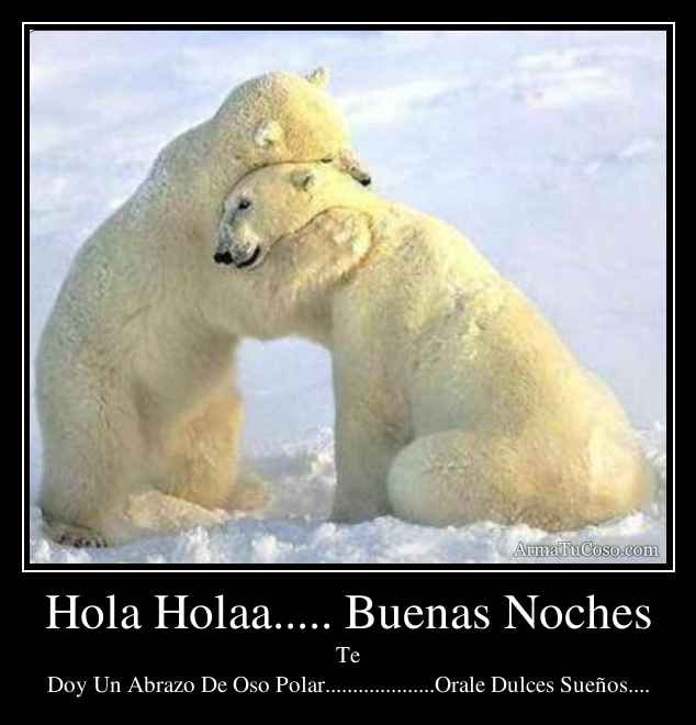 Hola Holaa..... Buenas Noches