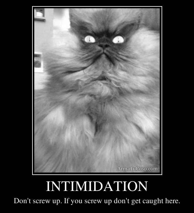 INTIMIDATION