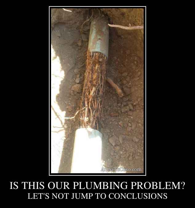IS THIS OUR PLUMBING PROBLEM?