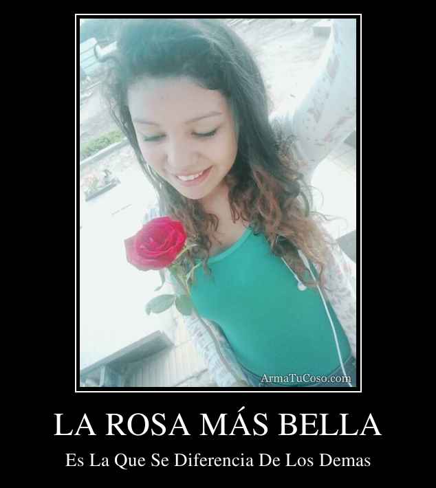 LA ROSA MÁS BELLA