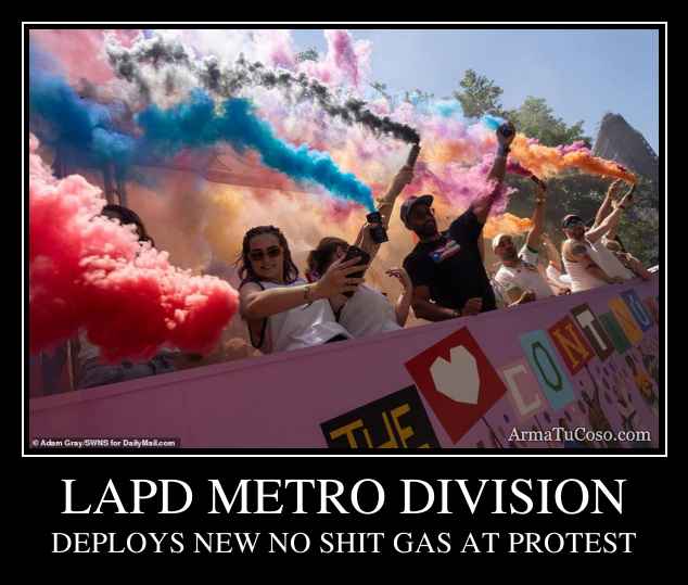 LAPD METRO DIVISION