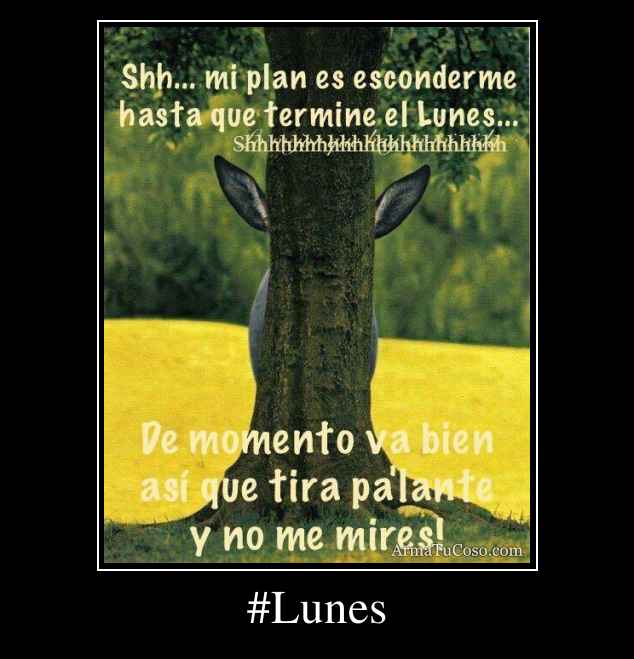#Lunes