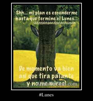 #Lunes