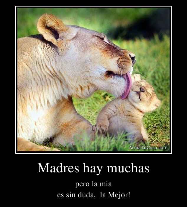 Madres hay muchas