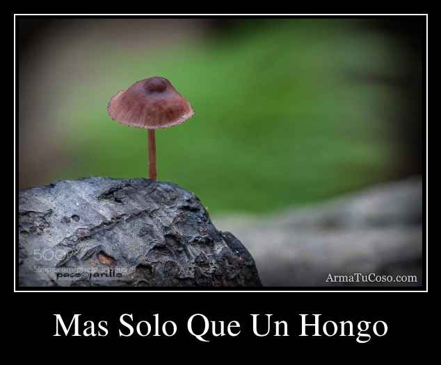 Mas Solo Que Un Hongo