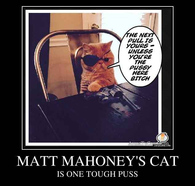 MATT MAHONEY'S CAT