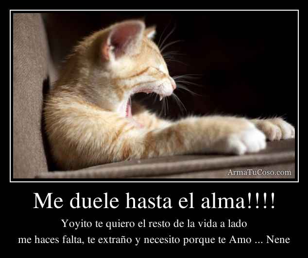 Me duele hasta el alma!!!!