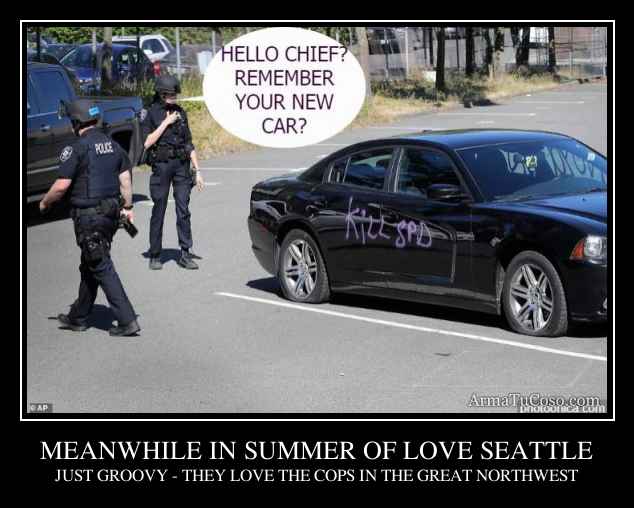 MEANWHILE IN SUMMER OF LOVE SEATTLE