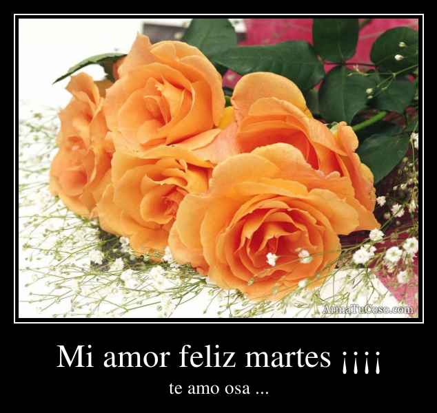 Mi amor feliz martes ¡¡¡¡