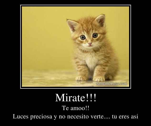 Mirate!!!