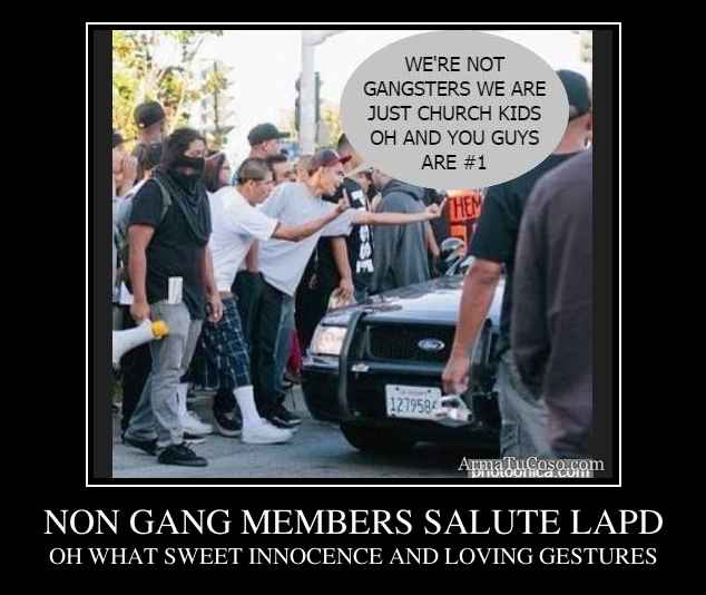 NON GANG MEMBERS SALUTE LAPD