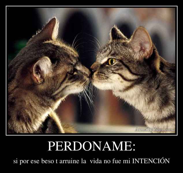 PERDONAME: