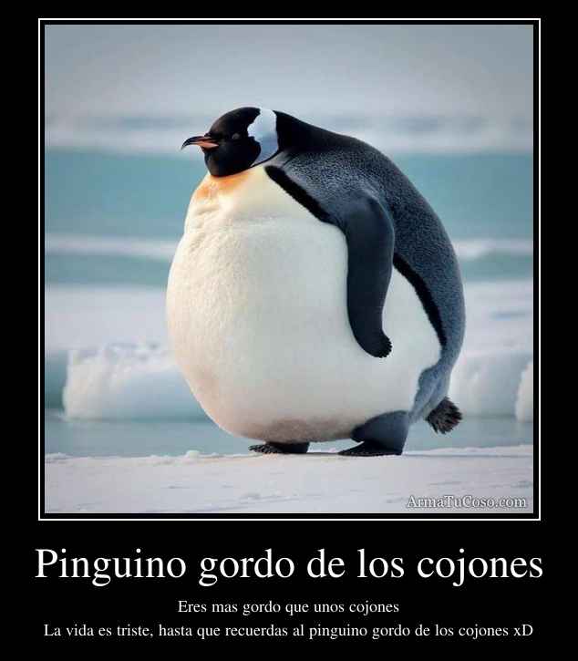 Pinguino gordo de los cojones