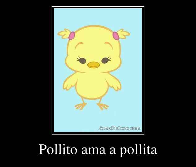 Pollito ama a pollita
