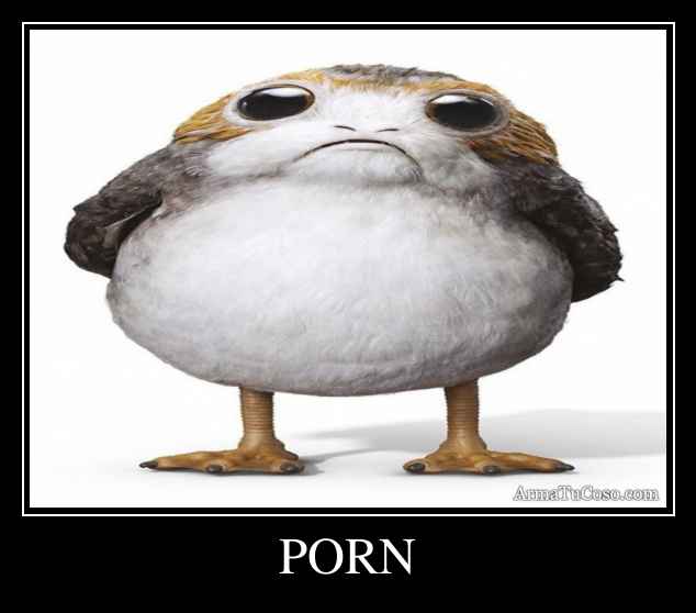PORN