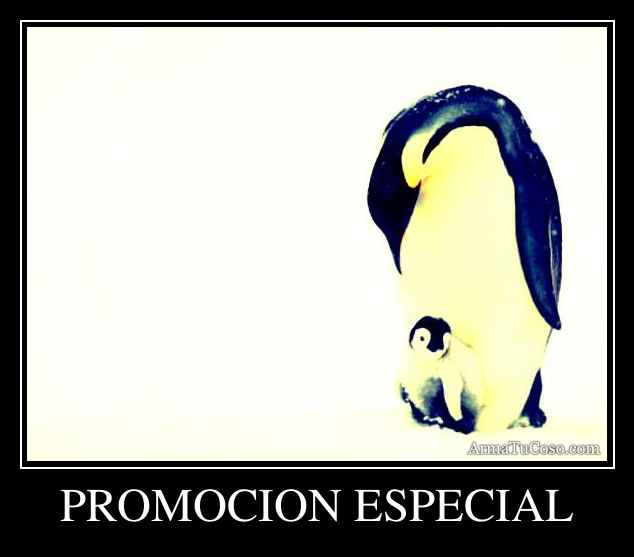 PROMOCION ESPECIAL