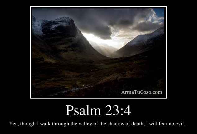 Psalm 23:4