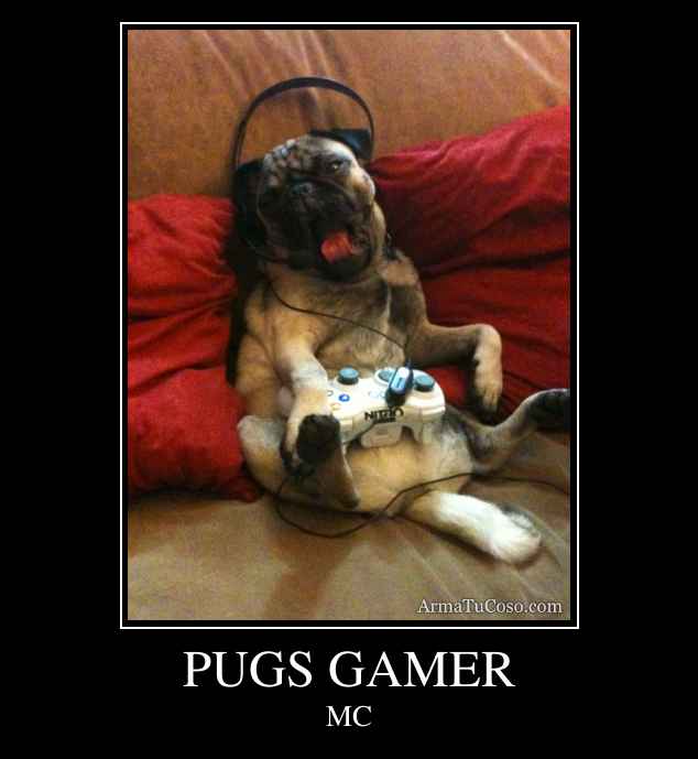 PUGS GAMER