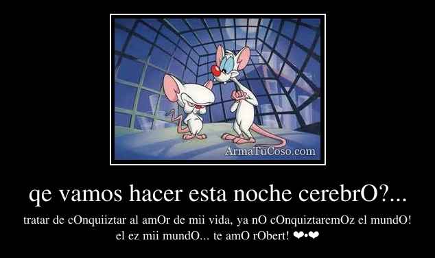 qe vamos hacer esta noche cerebrO?...