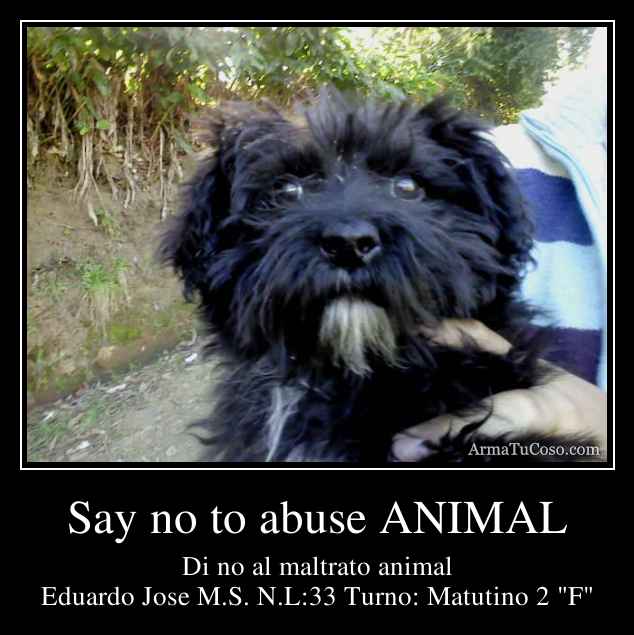 Say no to abuse ANIMAL