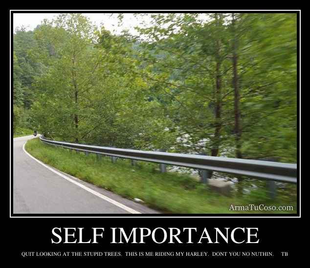 SELF IMPORTANCE