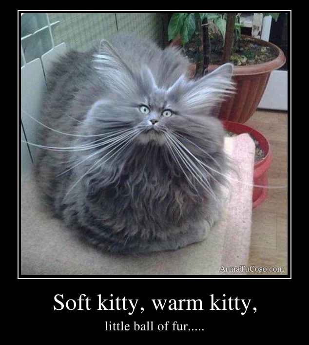 Soft kitty, warm kitty,